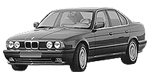 BMW E34 P251D Fault Code