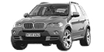 BMW E70 P251D Fault Code