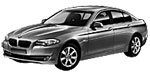 BMW F10 P251D Fault Code